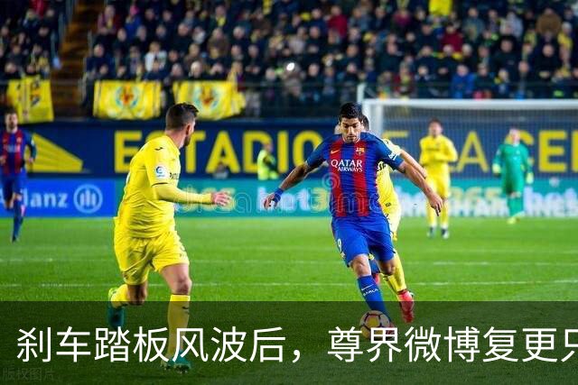 刹车踏板风波后，尊界微博复更只发了组图