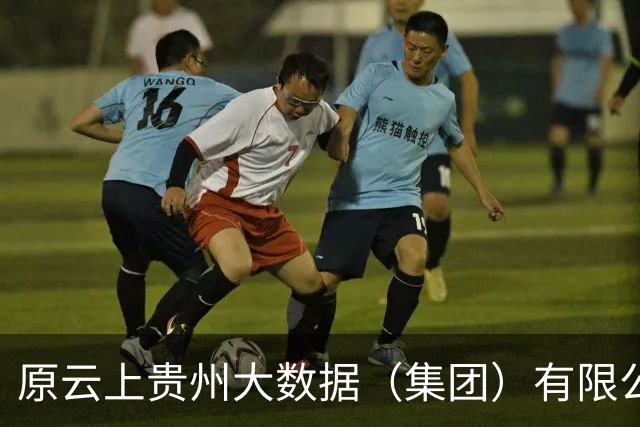 原云上贵州大数据（集团）有限公司党委书记、董事长徐昊受贿案一审宣判