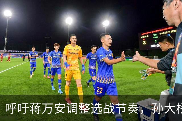 呼吁蒋万安调整选战节奏，孙大桥示警：民进党已投入全党之力