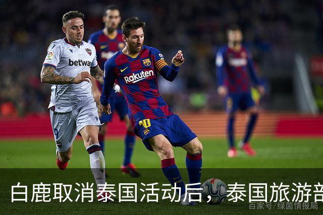 白鹿取消泰国活动后，泰国旅游部长一番话引发争议！