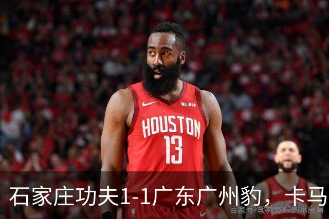 石家庄功夫1-1广东广州豹，卡马拉破门，多米尼克扳平