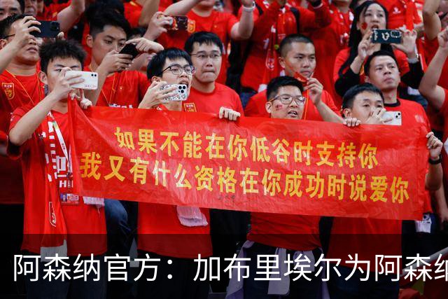 阿森纳官方：加布里埃尔为阿森纳完成200场英超出场